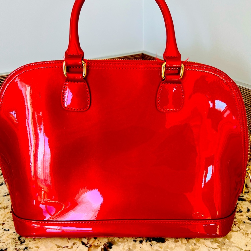 Danier Leather vintage Never Used handbag. It’s like art.Patent leather…